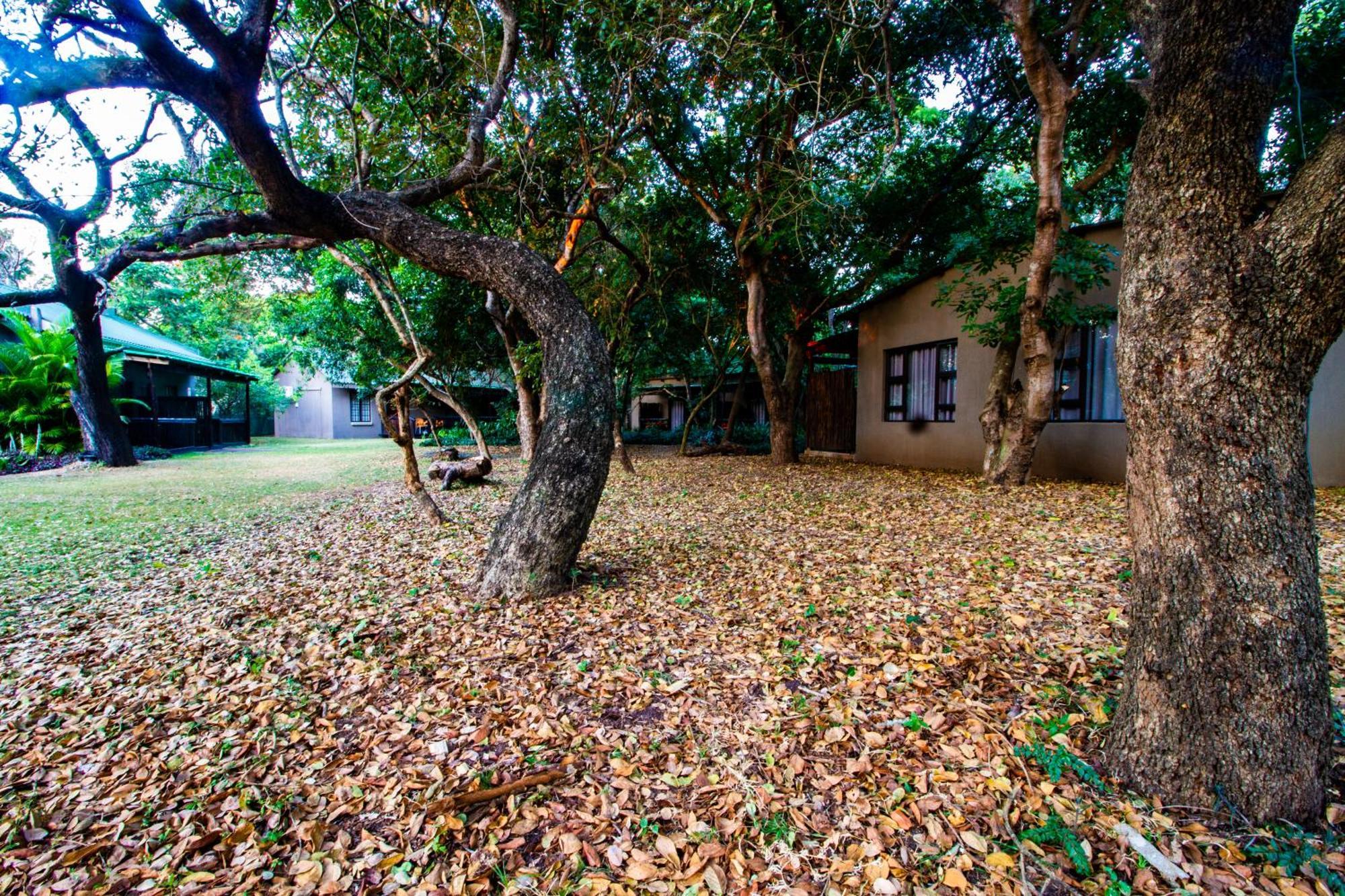 Emdoneni Lodge With Zululand Cat Conservation Project Hluhluwe Kültér fotó