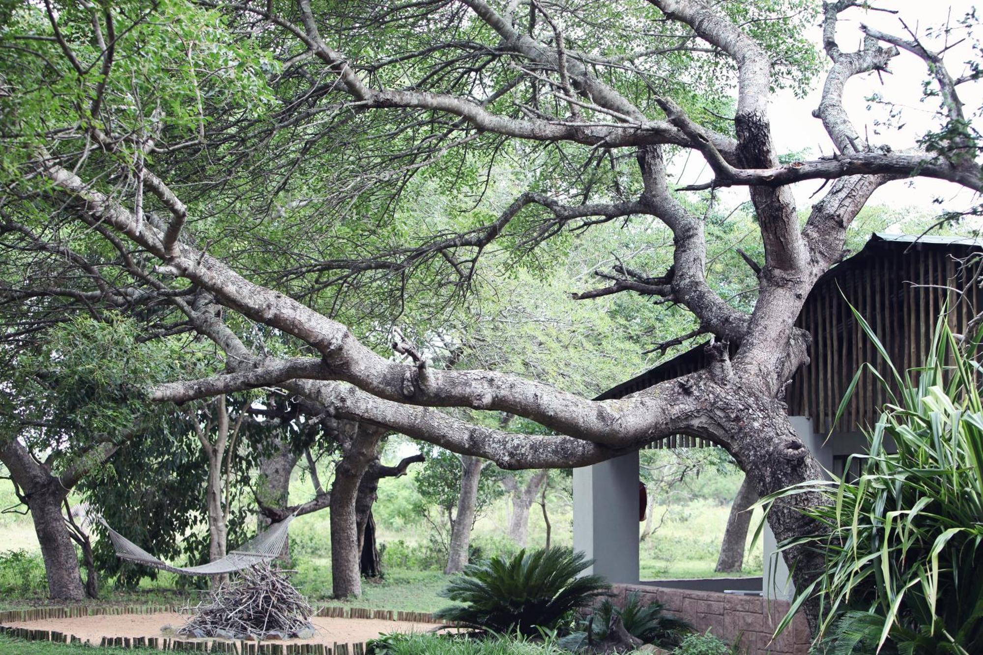 Emdoneni Lodge With Zululand Cat Conservation Project Hluhluwe Kültér fotó